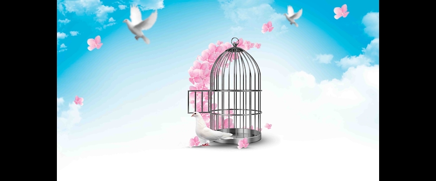 حرّیت و آزادگی شاه کلید رسیدن جامعه به عدالت، رفاه و رضایتمندی است